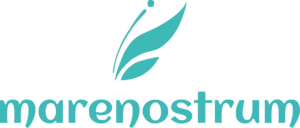 Logo-Marenostrum-vectorizado